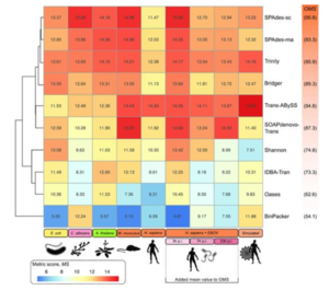 publication-info-img