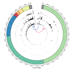 publication-info-img