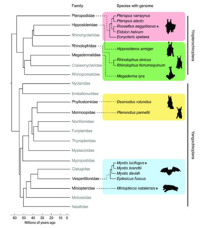 publication-info-img